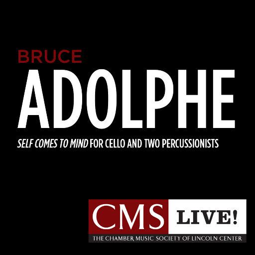 久久一级黄色片
